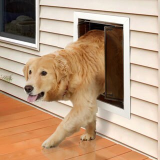 Plexidor Performance Pet Door Large Wall Mount Ebay