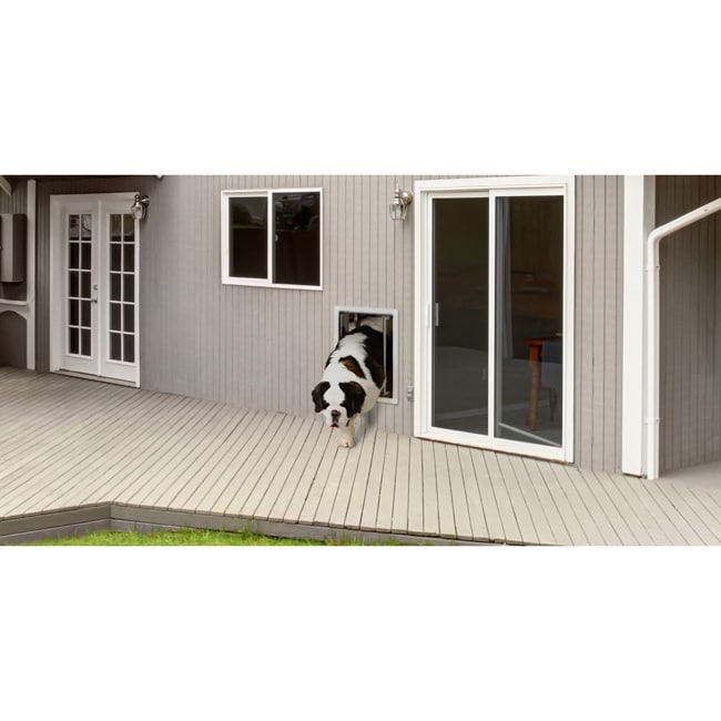 Plexidor Performance Pet Door Large Wall Mount