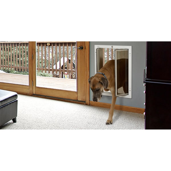 large dog door for wall