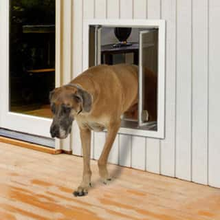 Shop Plexidor Performance Pet Door Xlarge Wall Mount Free