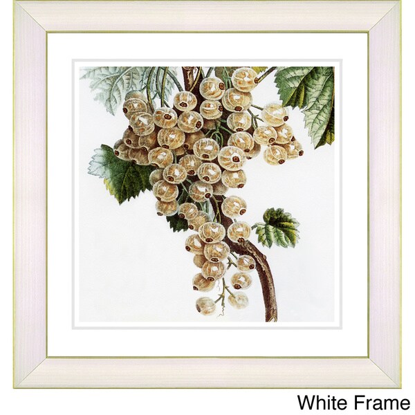 Zhee Singer 'Vintage Botanical No 09 - White' Framed Fine Art Print