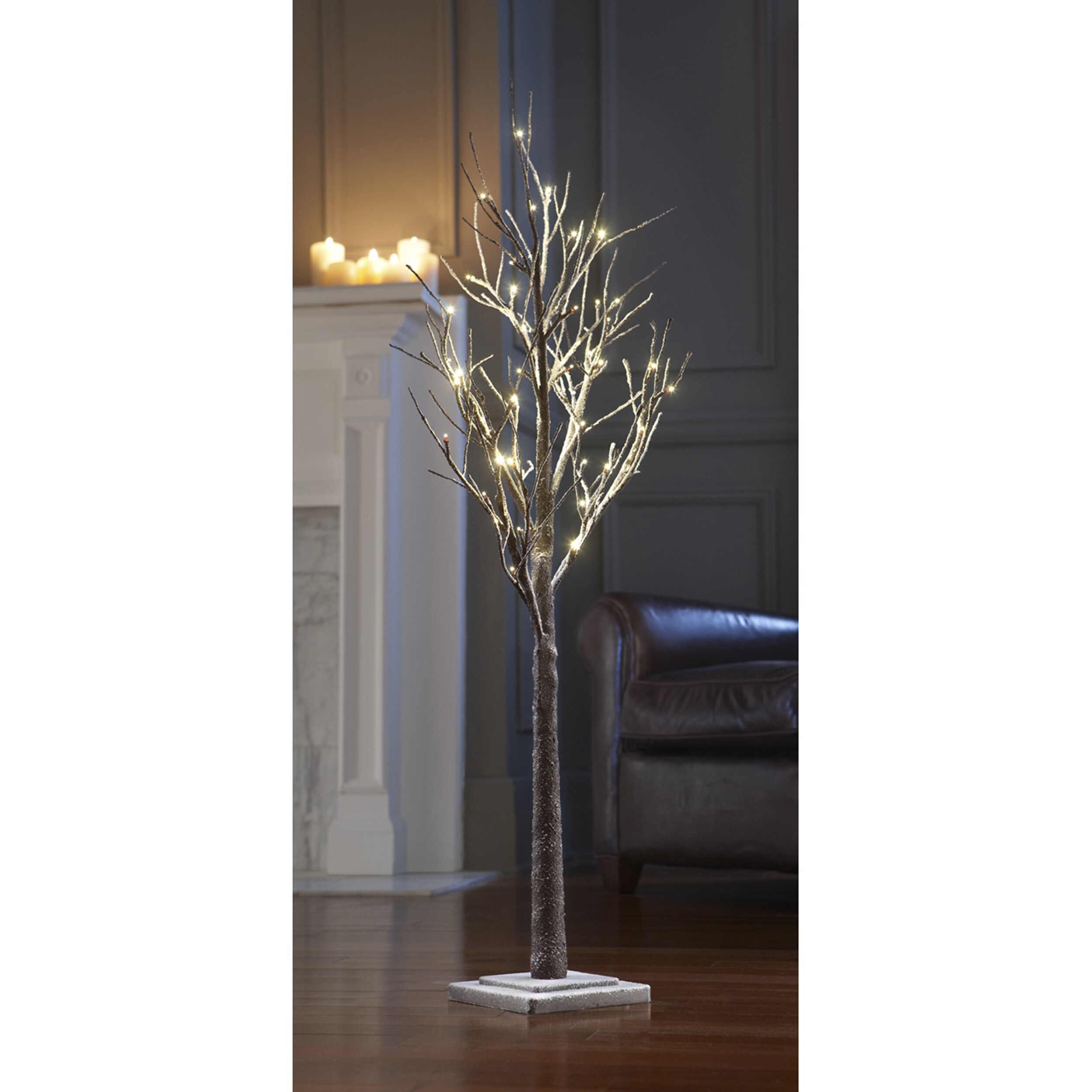 24 Metallic Winter Tree, LED, Battery Timer Remote, Plug in - On Sale -  Bed Bath & Beyond - 36560901