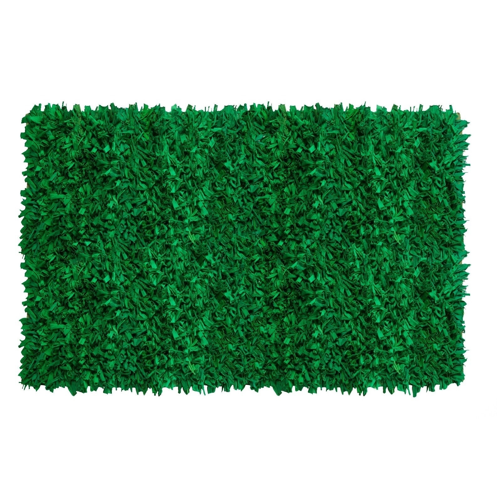 Jersey Green Shag Rug (5 X 8)
