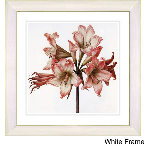 Studio Works Modern 'Vintage Botanical No 33 - White' Framed Fine Art Print