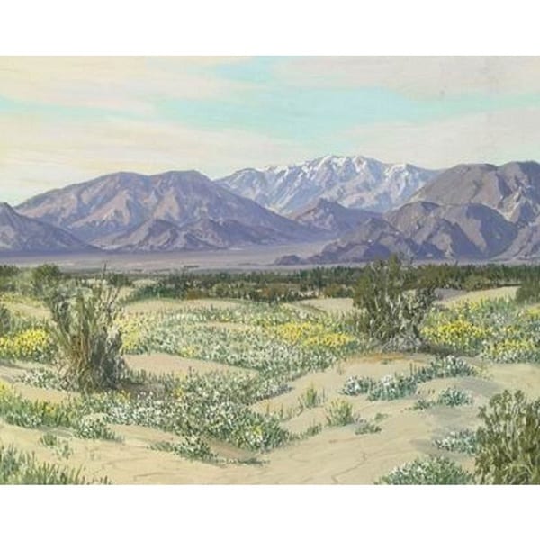 Desert' Oil on Canvas Art - Multi