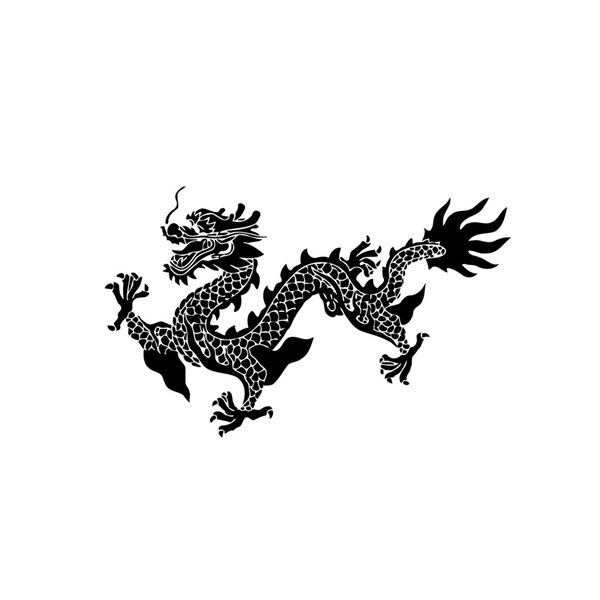 pop vinyl dragon