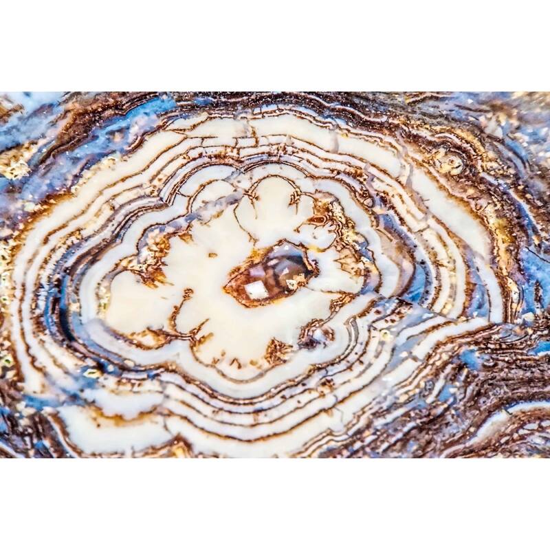 Marmont Hill Art Collective 'Earth Rings' Canvas Art - Multi-Color
