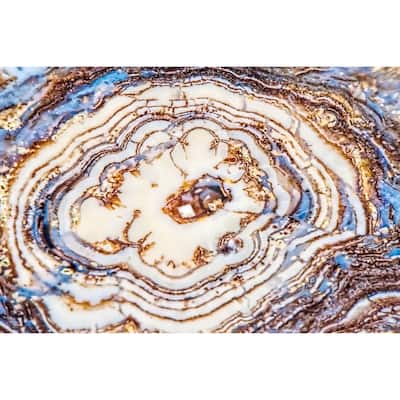 Marmont Hill Art Collective 'Earth Rings' Canvas Art - Multi-Color