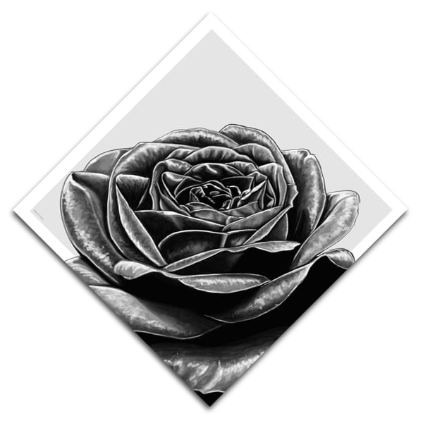 Maxwell Dickson Black Rose Modern Canvas Wall Art