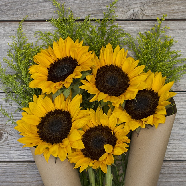 The Bouqs Company Hello Sunshine Original Flower Bouquet