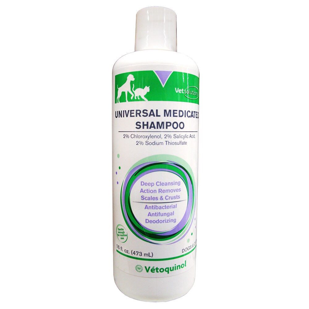 universal medicated shampoo for dogs