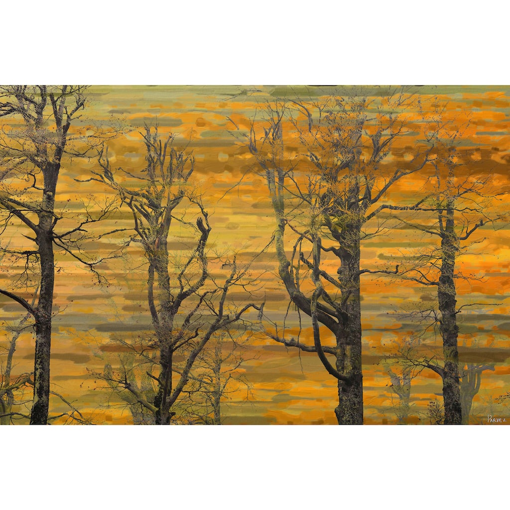 Marmont Hill Art Collective 'Burnt Trees' Canvas Art - Multi-Color