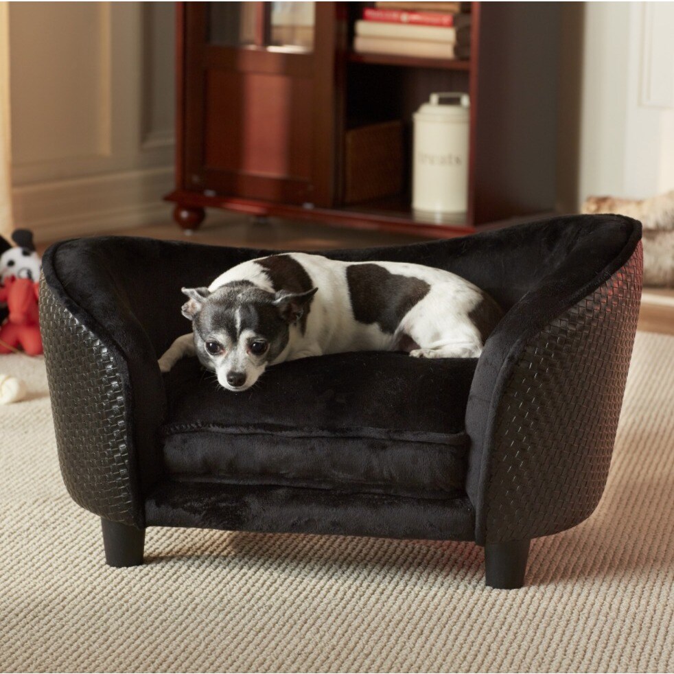 small black dog bed