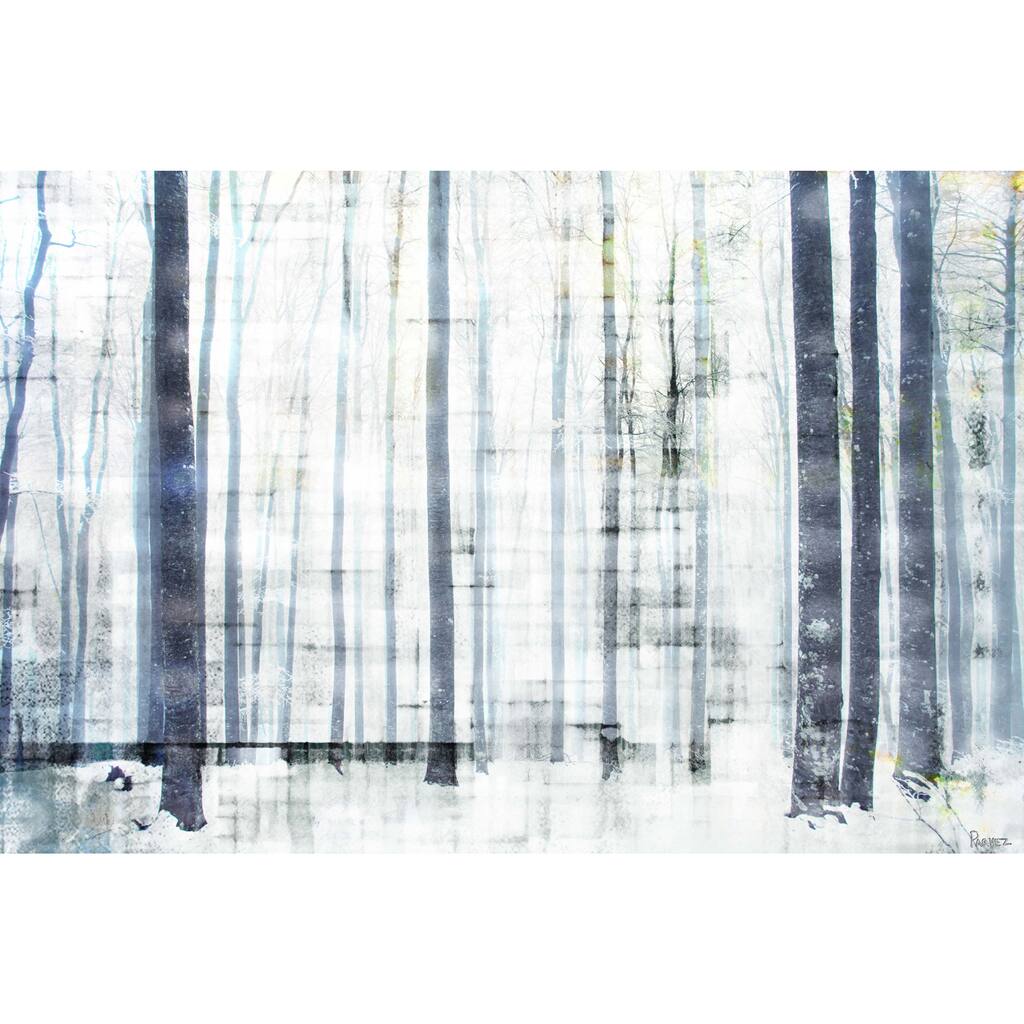 Marmont Hill Art Collective 'Winter Trees' Canvas Art - Multi-Color