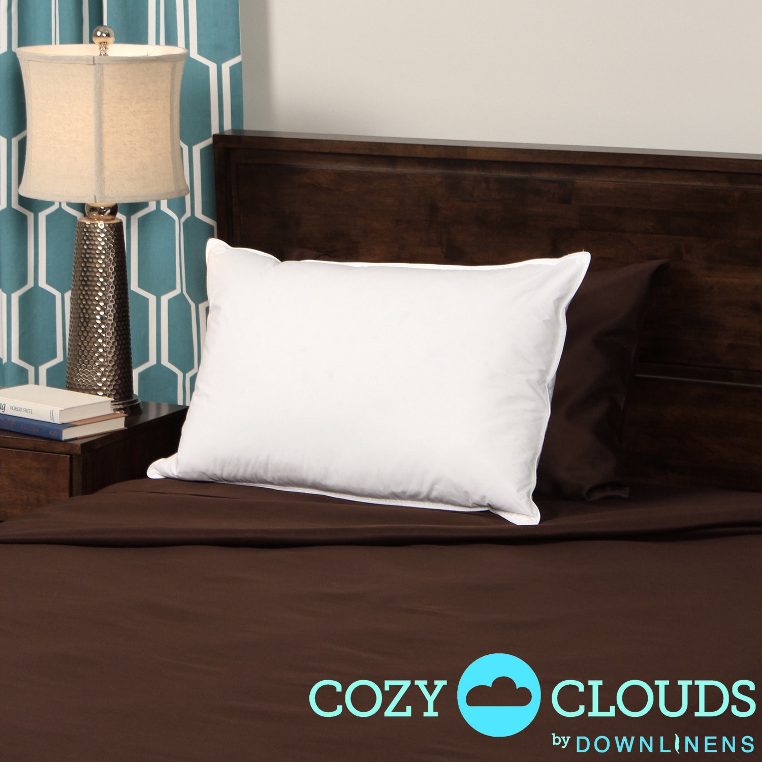 Cozyclouds By Downlinens Down/ Feather Compartment Pillow