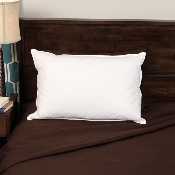 Euro 2pk RDS Bed Pillow - Eddie Bauer