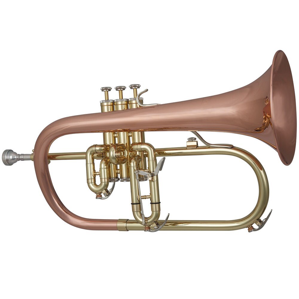 Flugelhorn for sale compared to CraigsList Only 3 left at 70