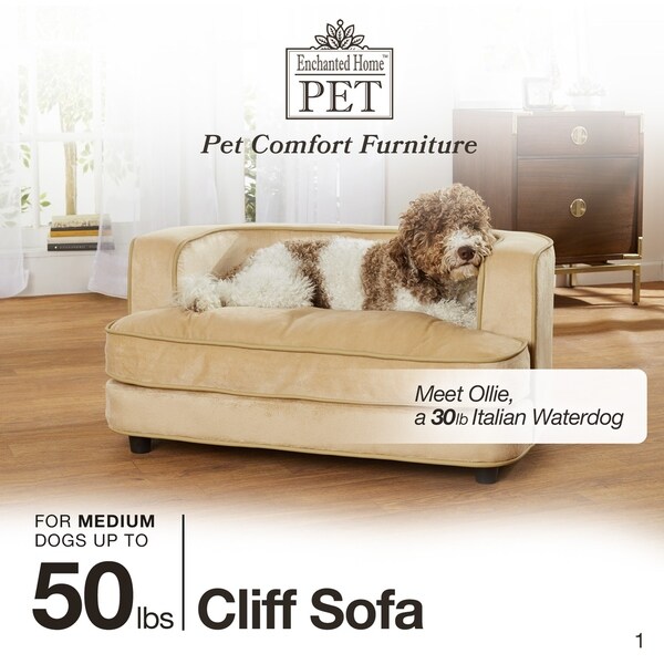 enchanted pet beds