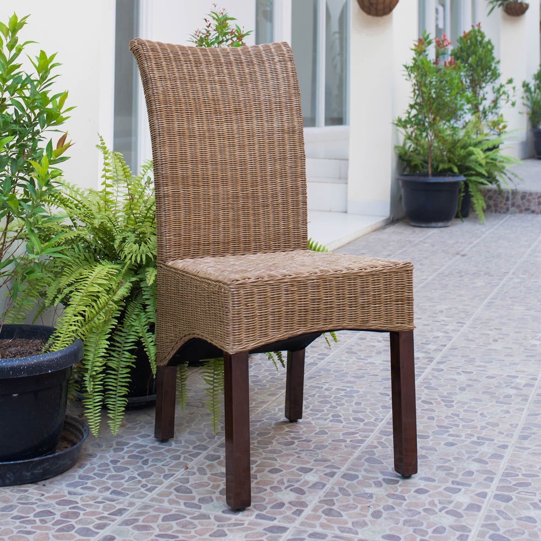 International Caravan Campbell Rattan Wicker Stained Finish Dining Chair With Mahogany Hardwood Frame (set Of 2)