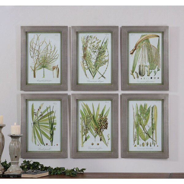 Overstock Wall Art uttermost grace feyock 'palm seeds' 6-piece canvas art print set Overstock Wall Art uttermost grace feyock 'palm seeds' 6-piece canvas art print set