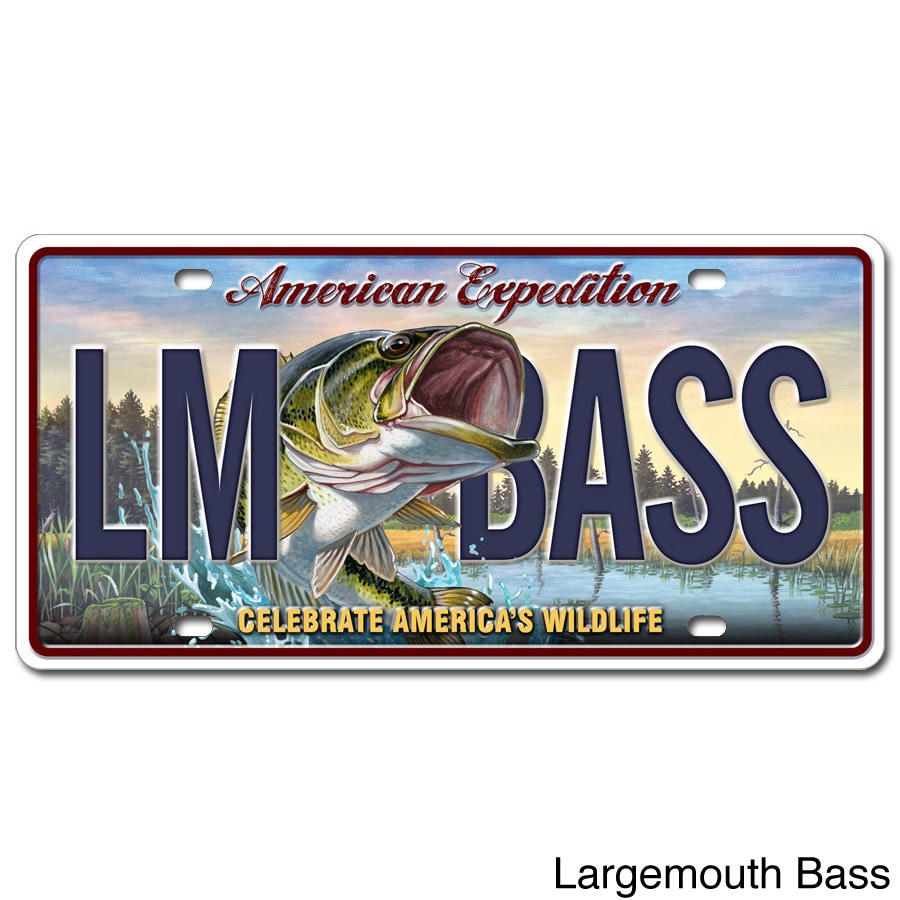 American Expedition License Plate