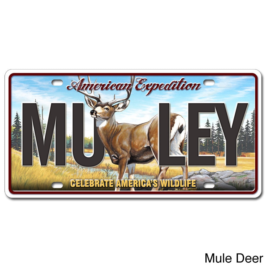 American Expedition License Plate