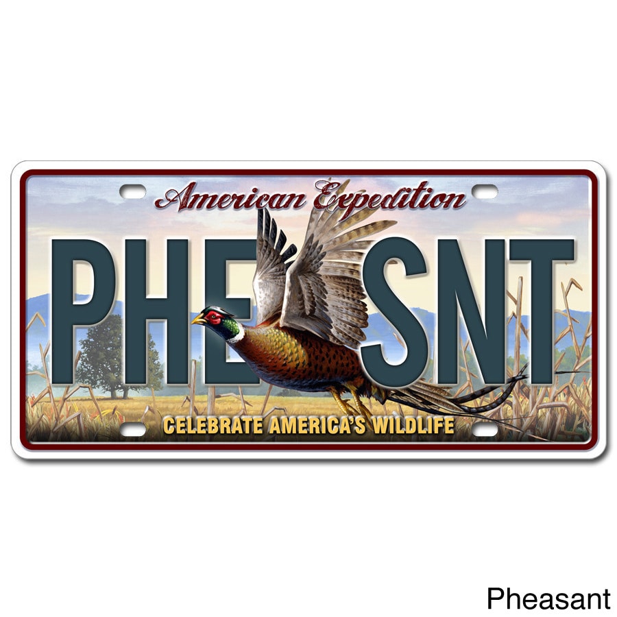 American Expedition License Plate