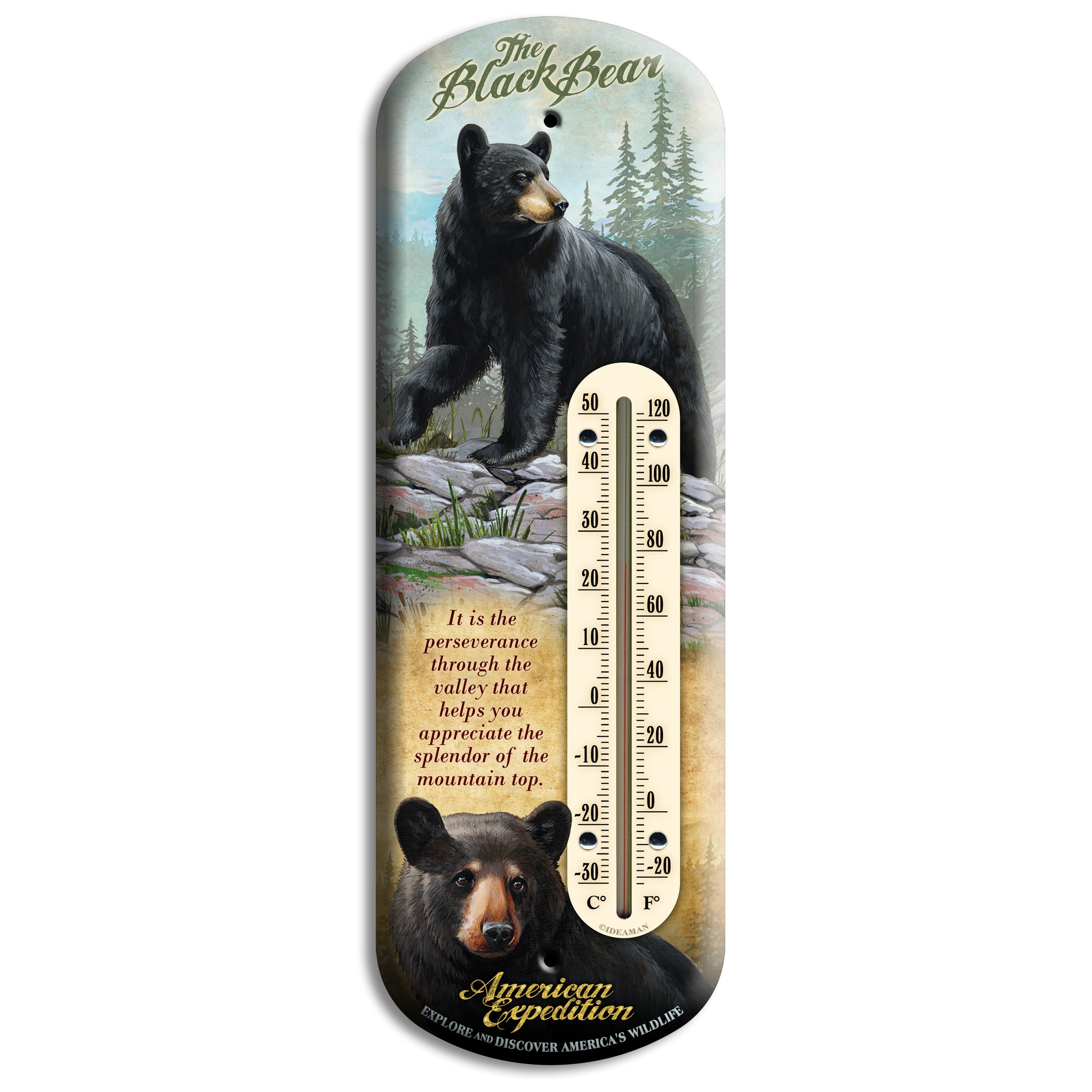 American Expedition Tin Back Porch Thermometer