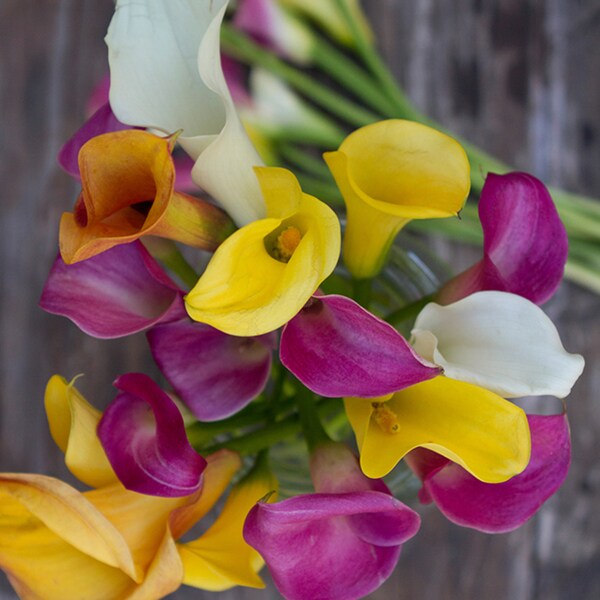 The Bouqs Volcano Collection 'Dragonfly' Original Flower Bouquet