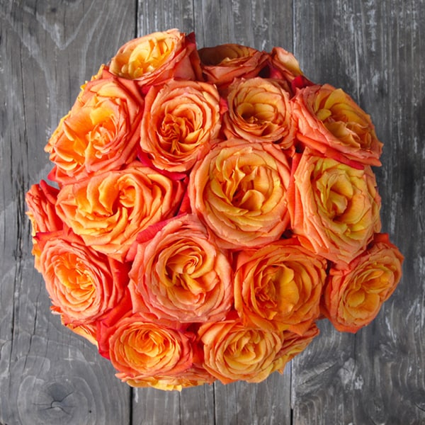 The Bouqs Volcano Collection 'Dawn' Deluxe Orange Roses Flower Bouquet