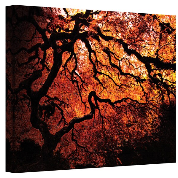 John Black 'Fire Breather Japanese Tree' GalleryWrapped Canvas