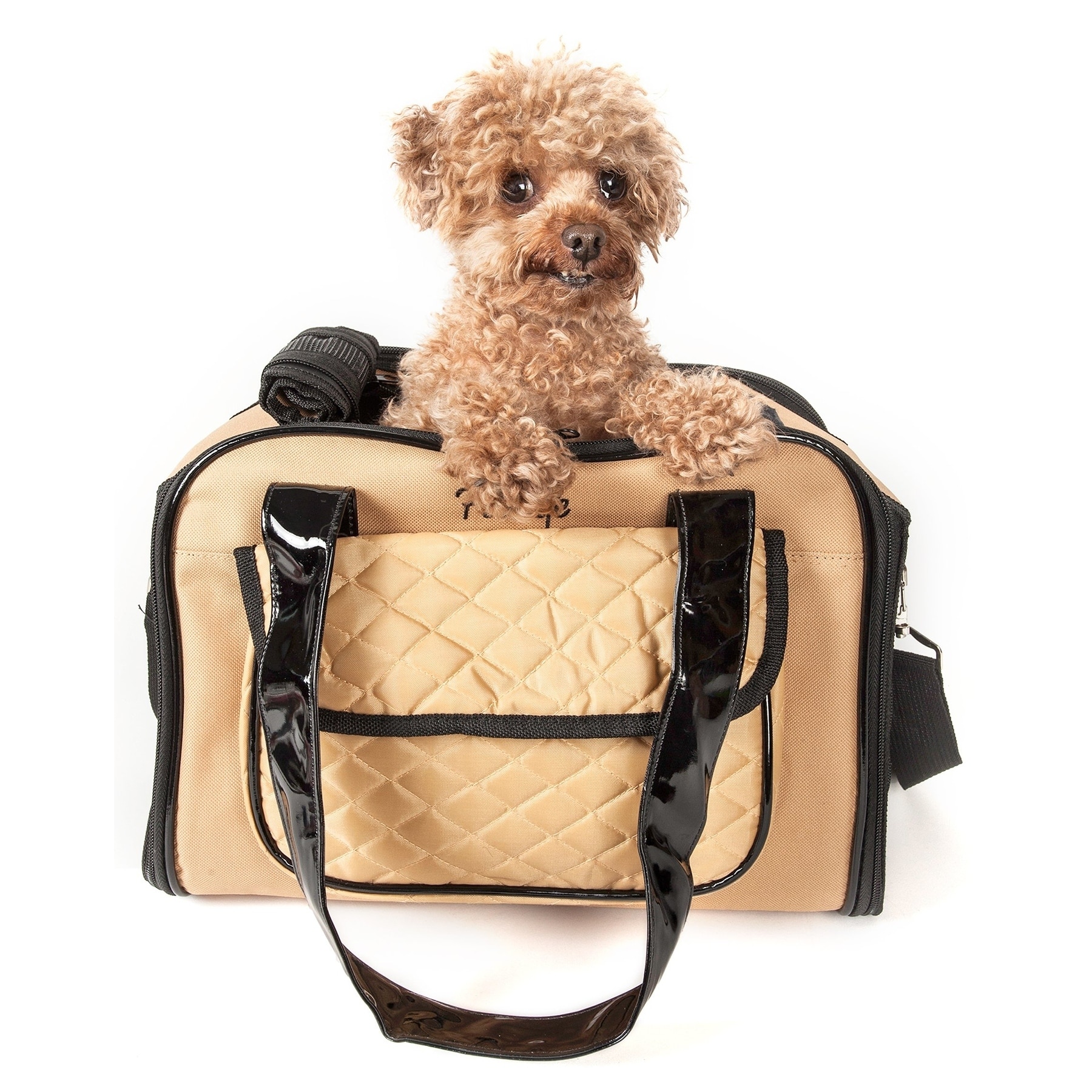 airline approved pet carrier size