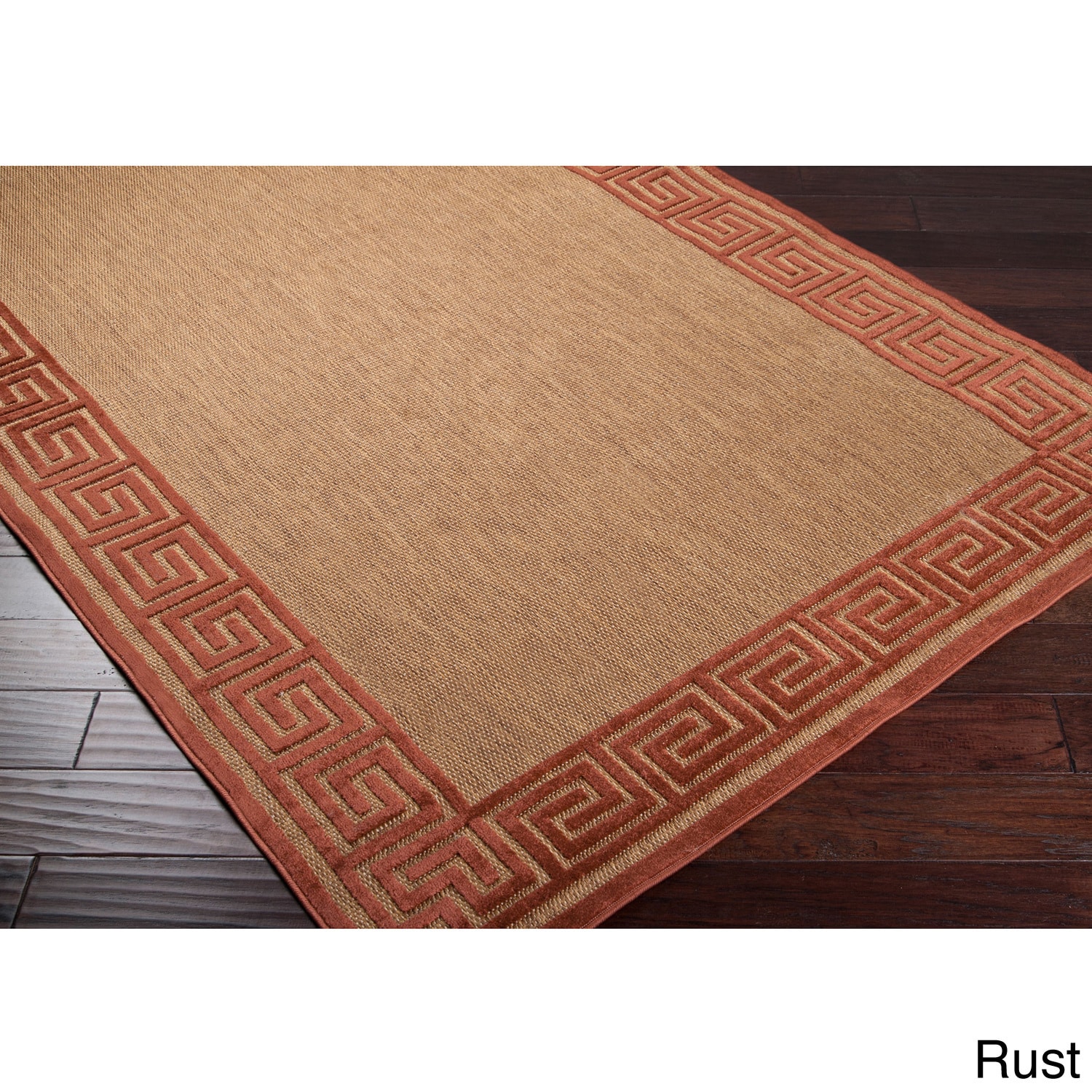 Meticulously Woven Megan Transitional Bordered Indoor/ Outdoor Area Rug (39 X 58)