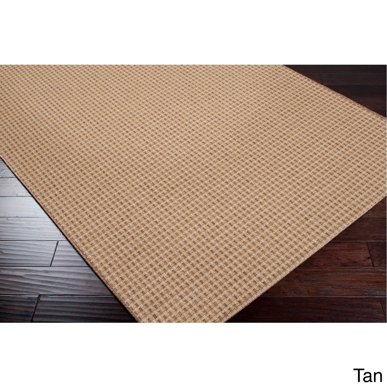 Meticulously Woven Meryl Solid Indoor/ Outdoor Area Rug (22 X 34)