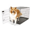 Aspen Pet Black Metal Pet Crate