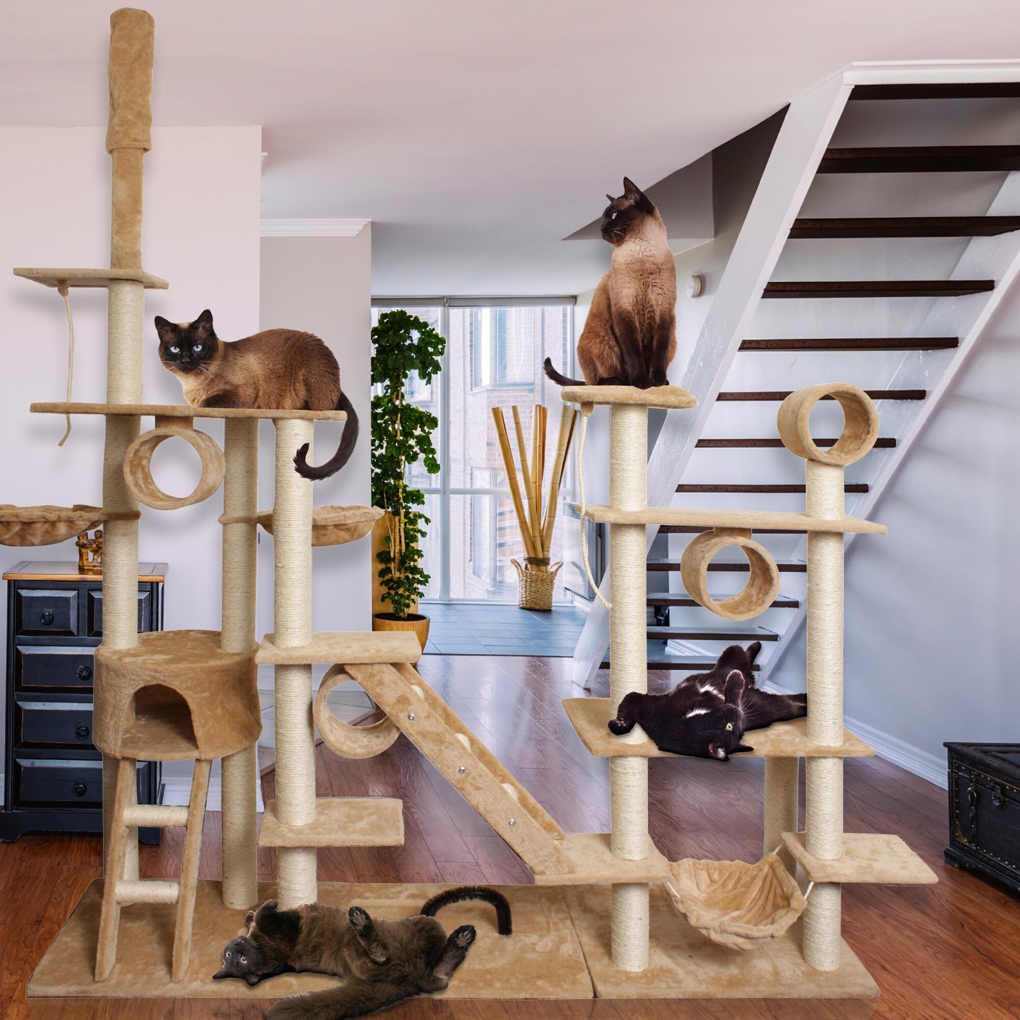 96 cat condo