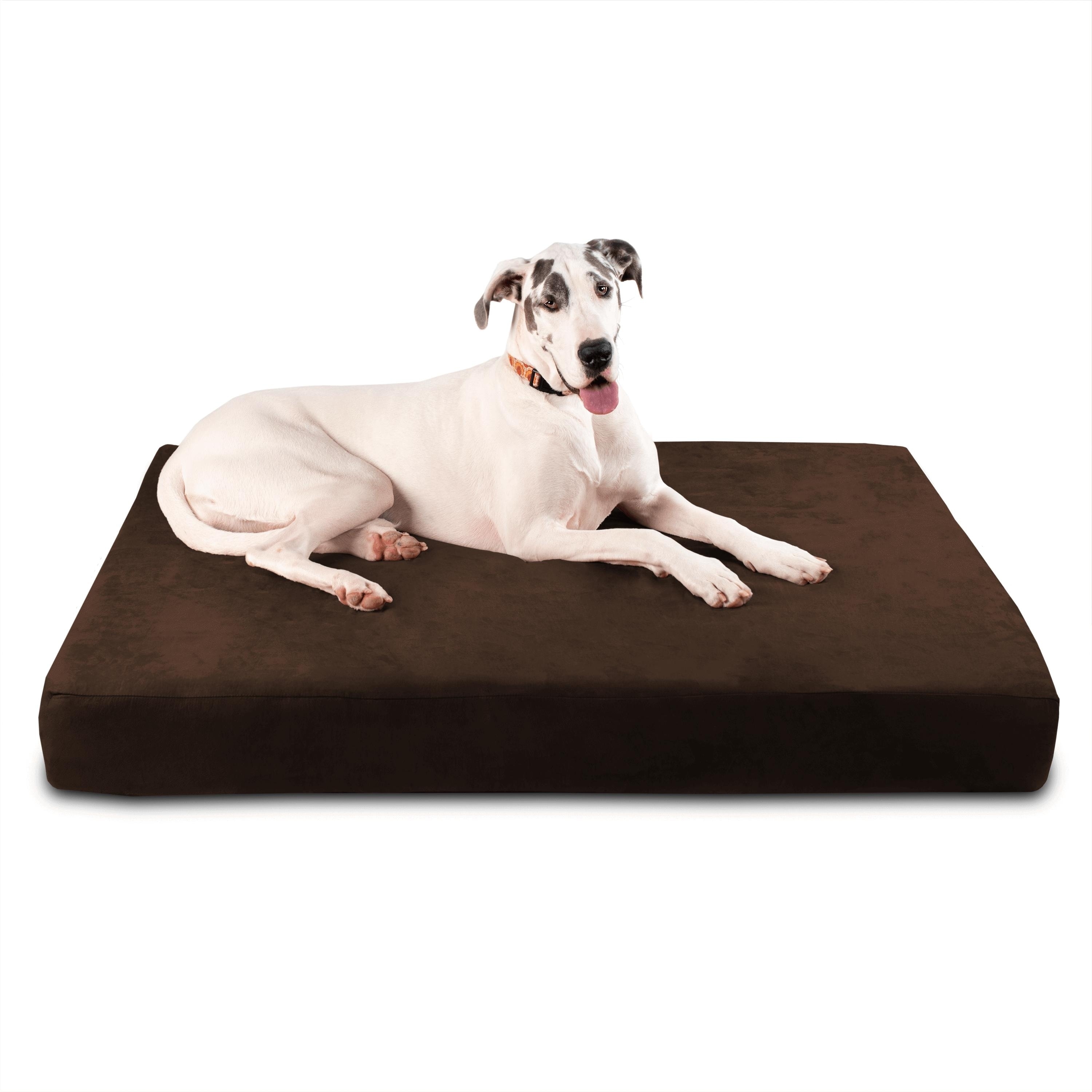 big barker dog bed sale