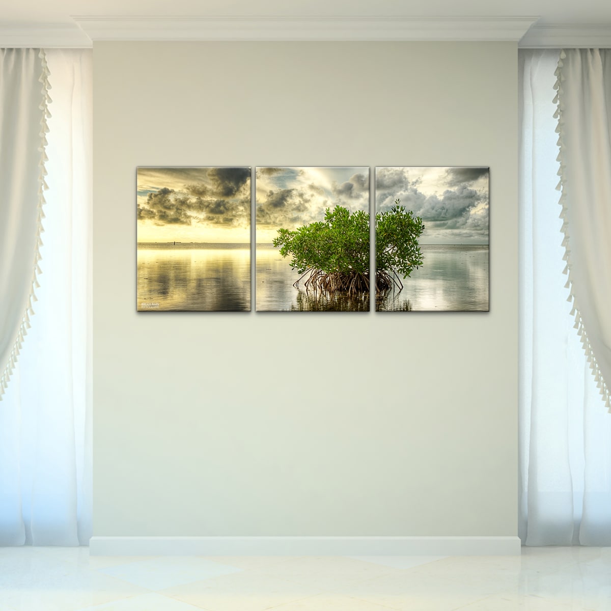 Bruce Bain Mangrove 3 piece Canvas Wall Art