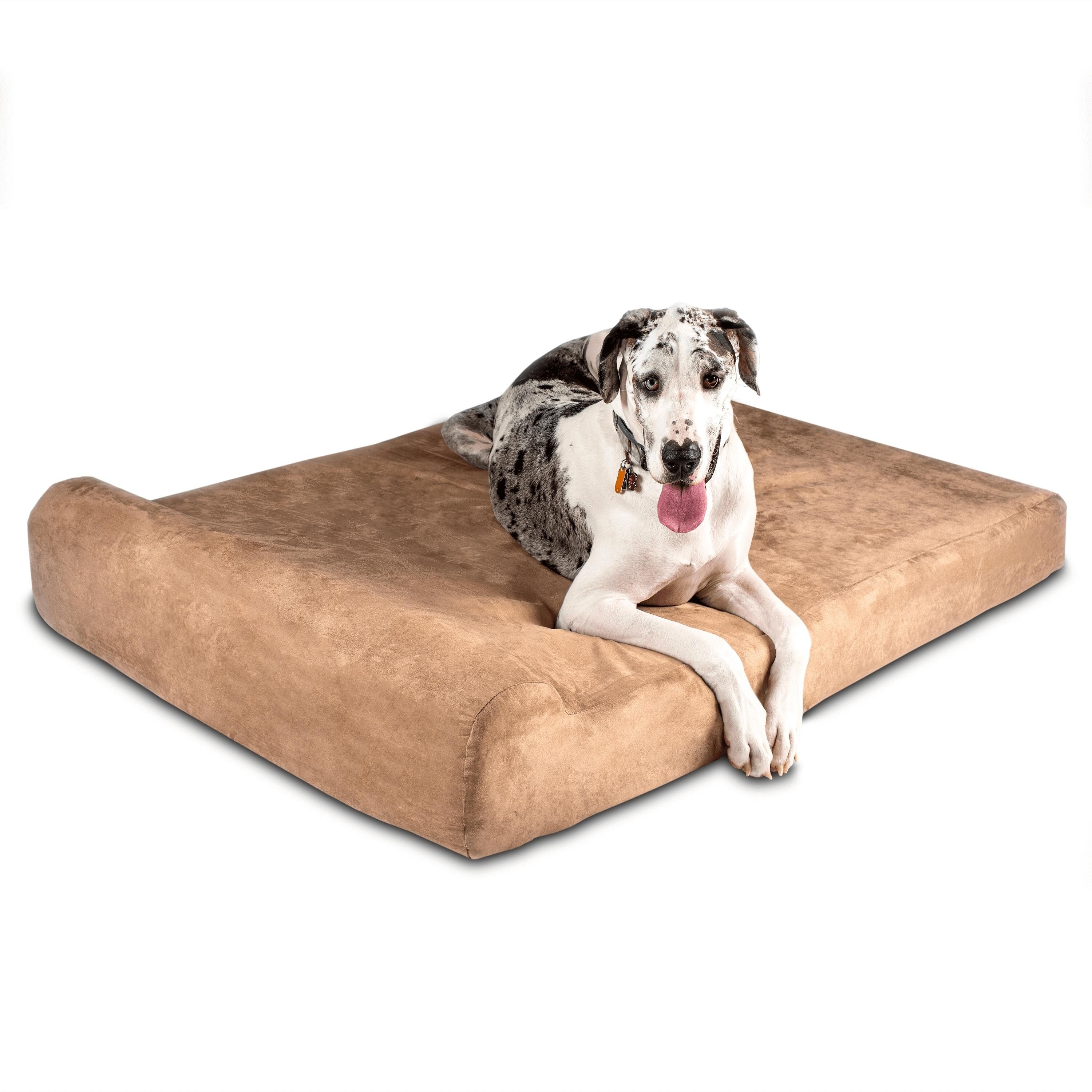 dog beds for large dogs