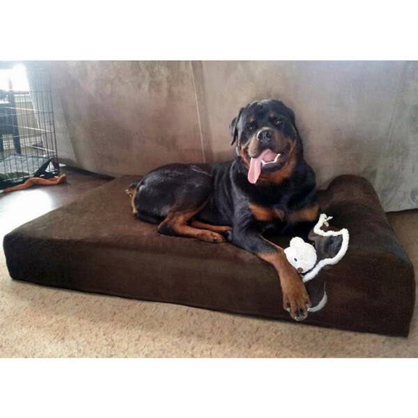 Shop Big Barker 7 Inch Pillowtop Orthopedic Dog Bed Headrest