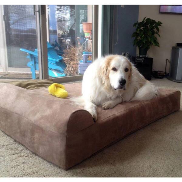 Shop Big Barker 7 Inch Pillowtop Orthopedic Dog Bed Headrest