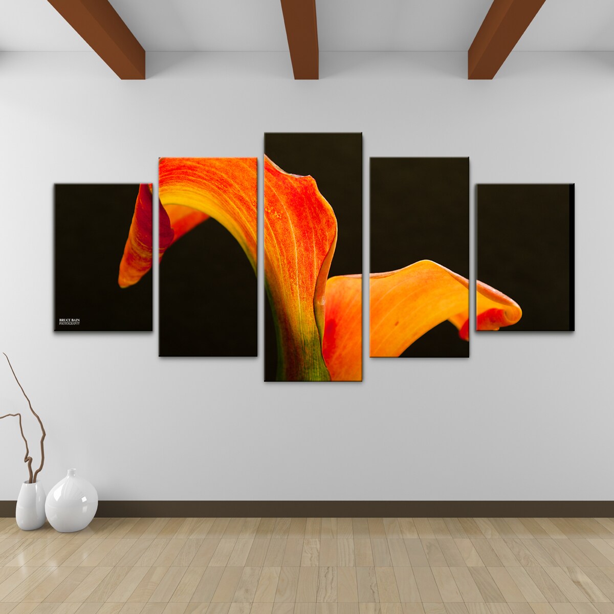 Shop Bruce Bain 'Bloom' Canvas Wall Art (5piece Set) On Sale Free