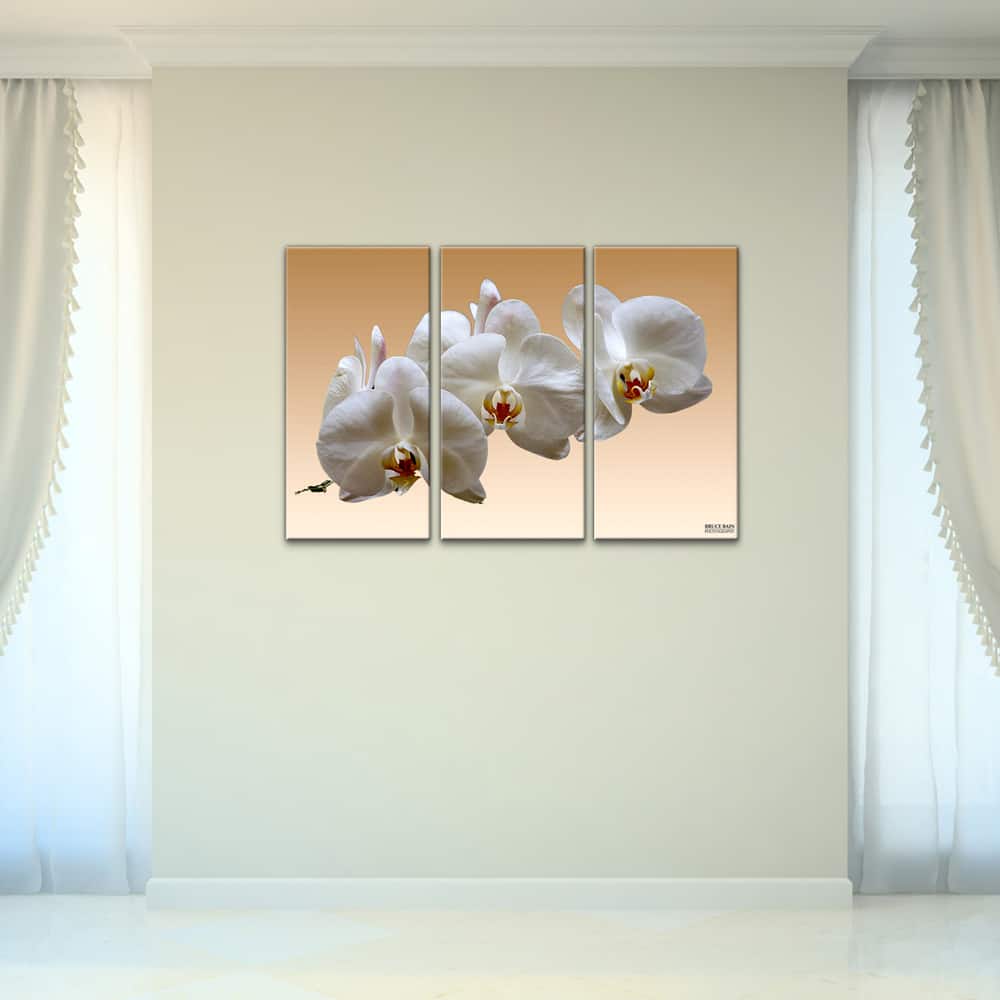 White Orchid' 3-Piece Wrapped Canvas Wall Art Set