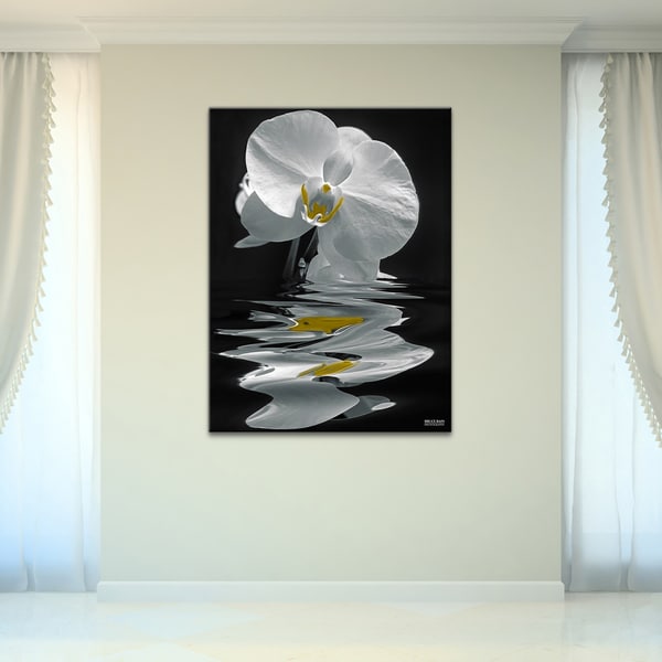 Ready2HangArt 'White Orchid' Canvas Wall Art - Black/White