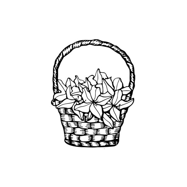 Flower Coloring Pages | Coloring pages, Flower coloring pages, Flowers