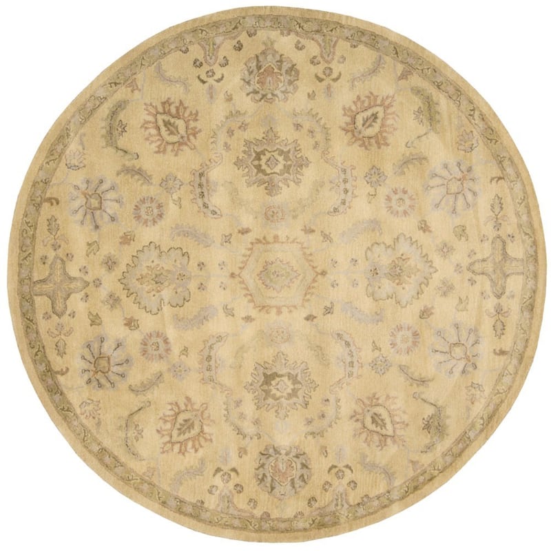 Nourison Jaipur JA54 Area Rug