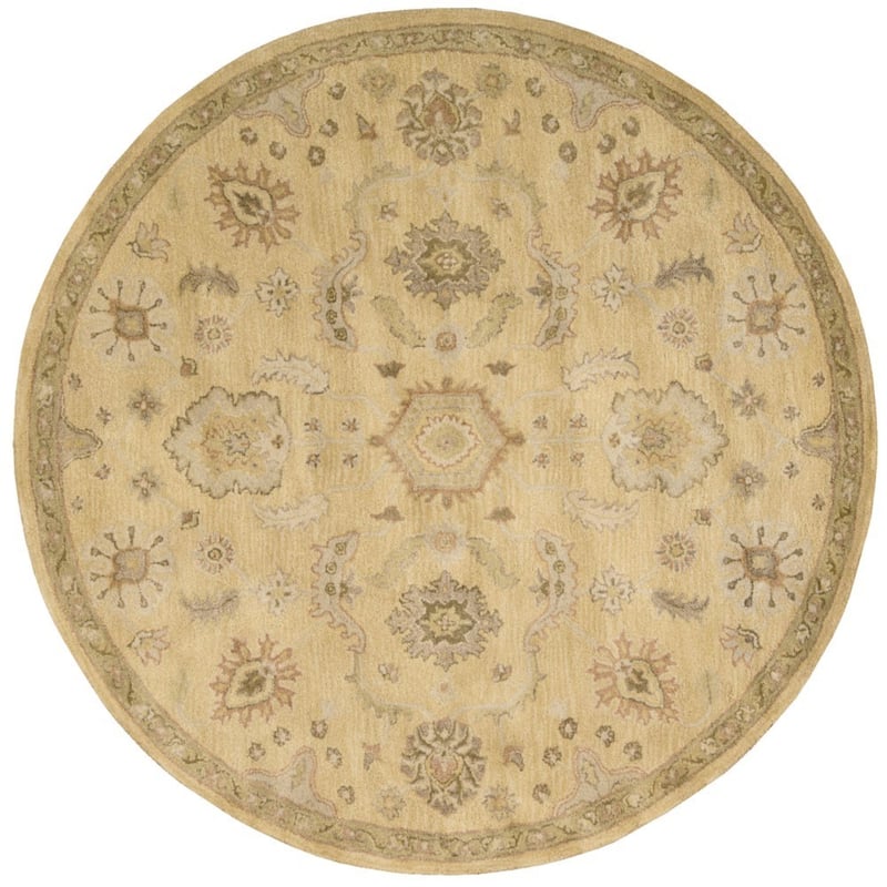 Nourison Jaipur JA54 Area Rug