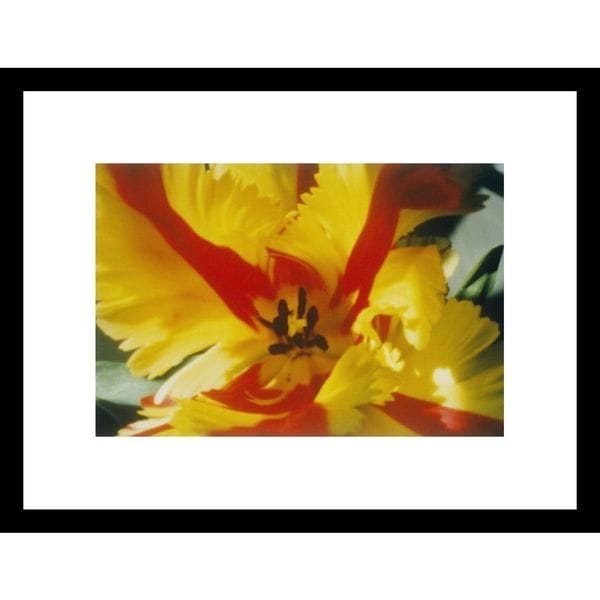 Sisse Brimberg A close up of a flower Framed Photo