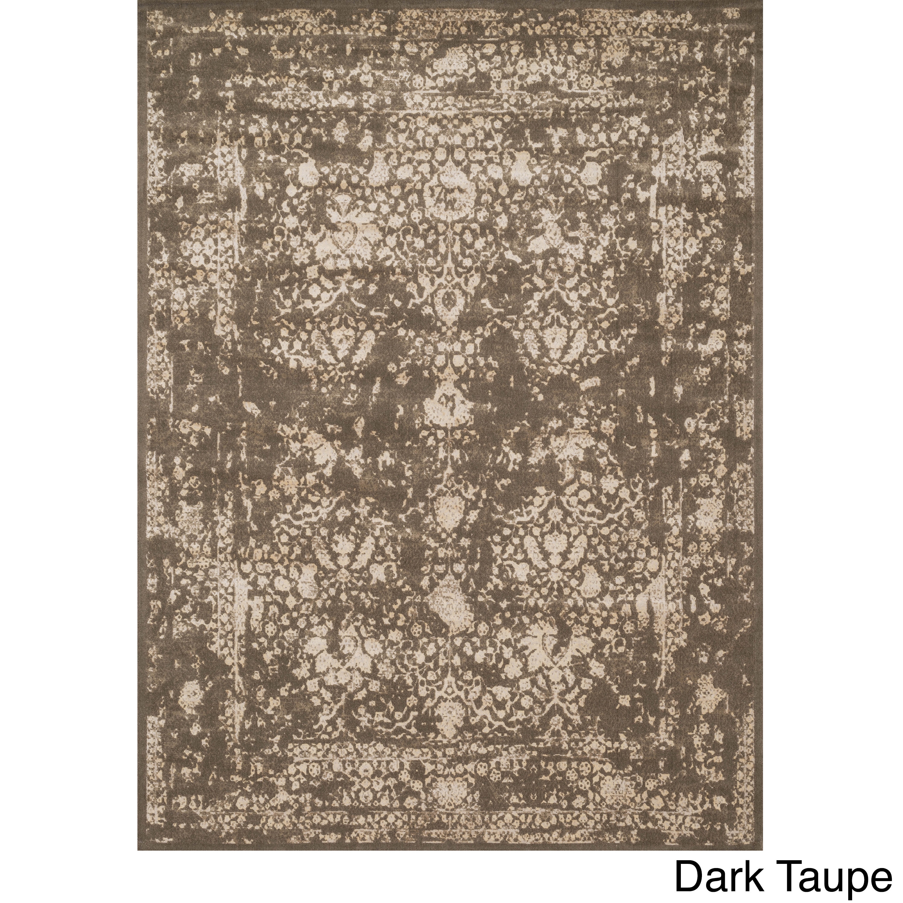 Emerson Antique/ Multi Rug (33 X 53)