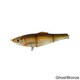 live target blueback herring